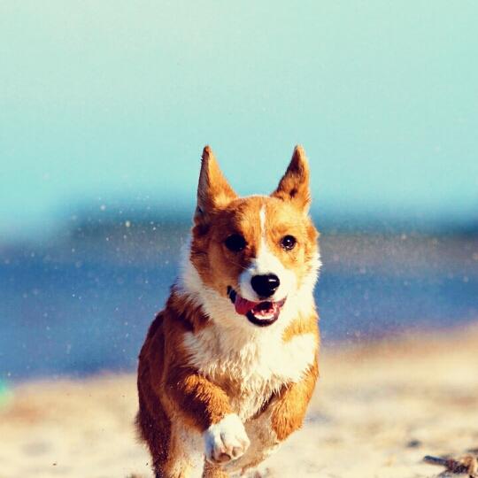 徐姐做菜最好吃