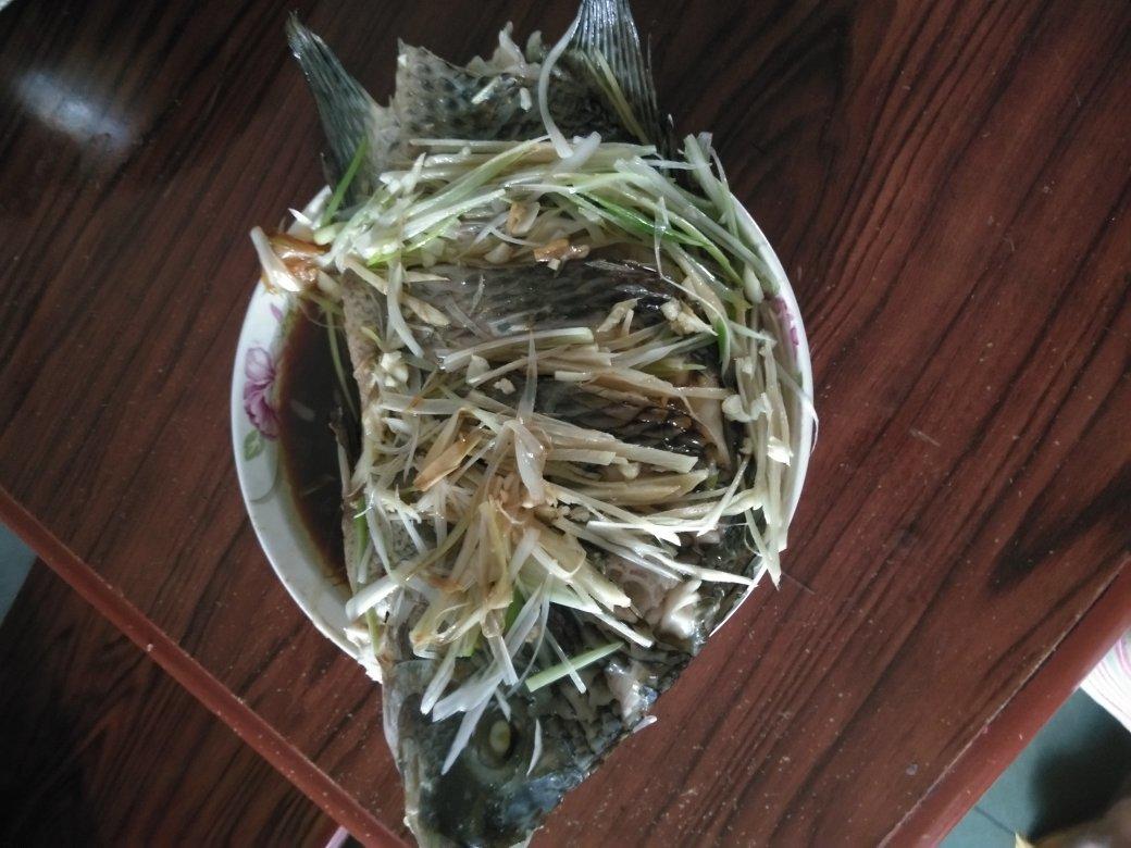 清蒸鱼