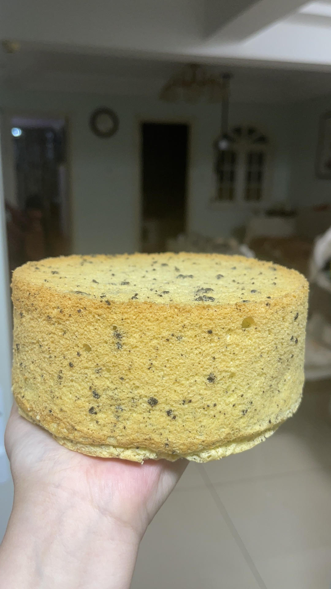 奥利奥戚风蛋糕