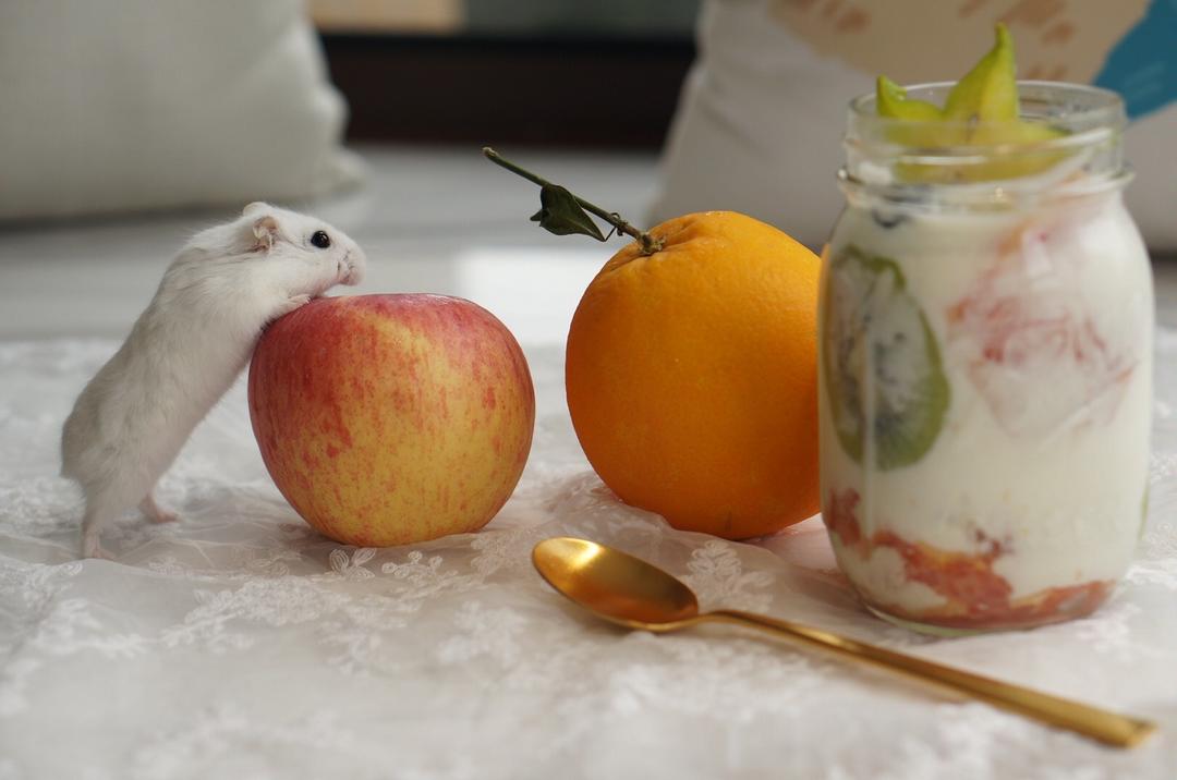 梅森杯早餐沙拉