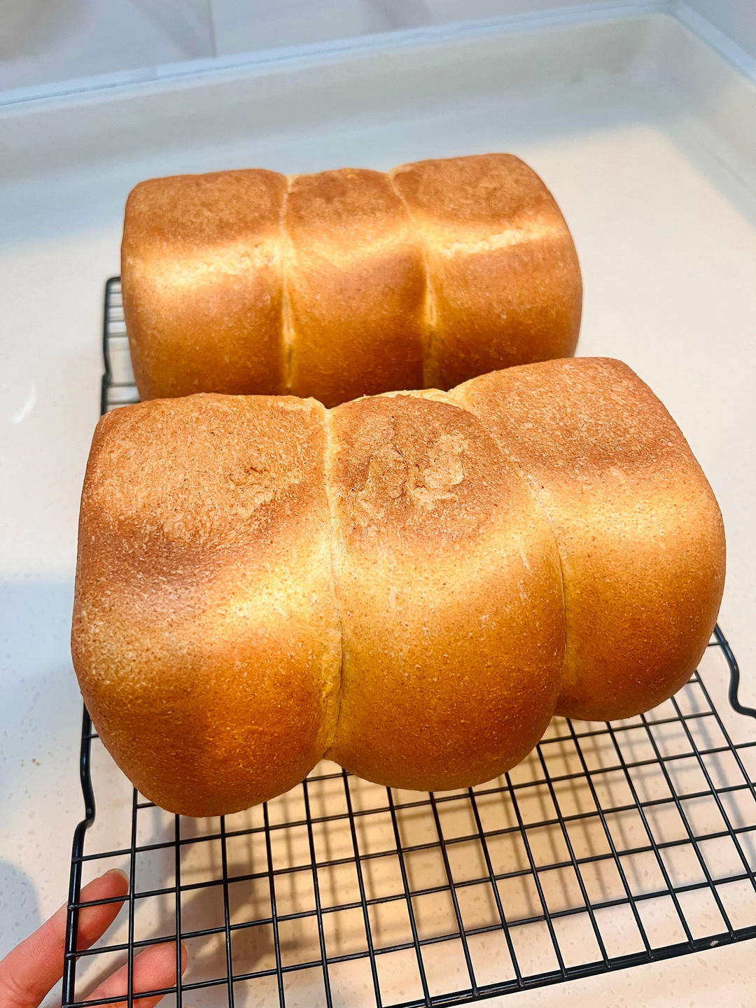 【健康烘培】超低卡黑全麦吐司