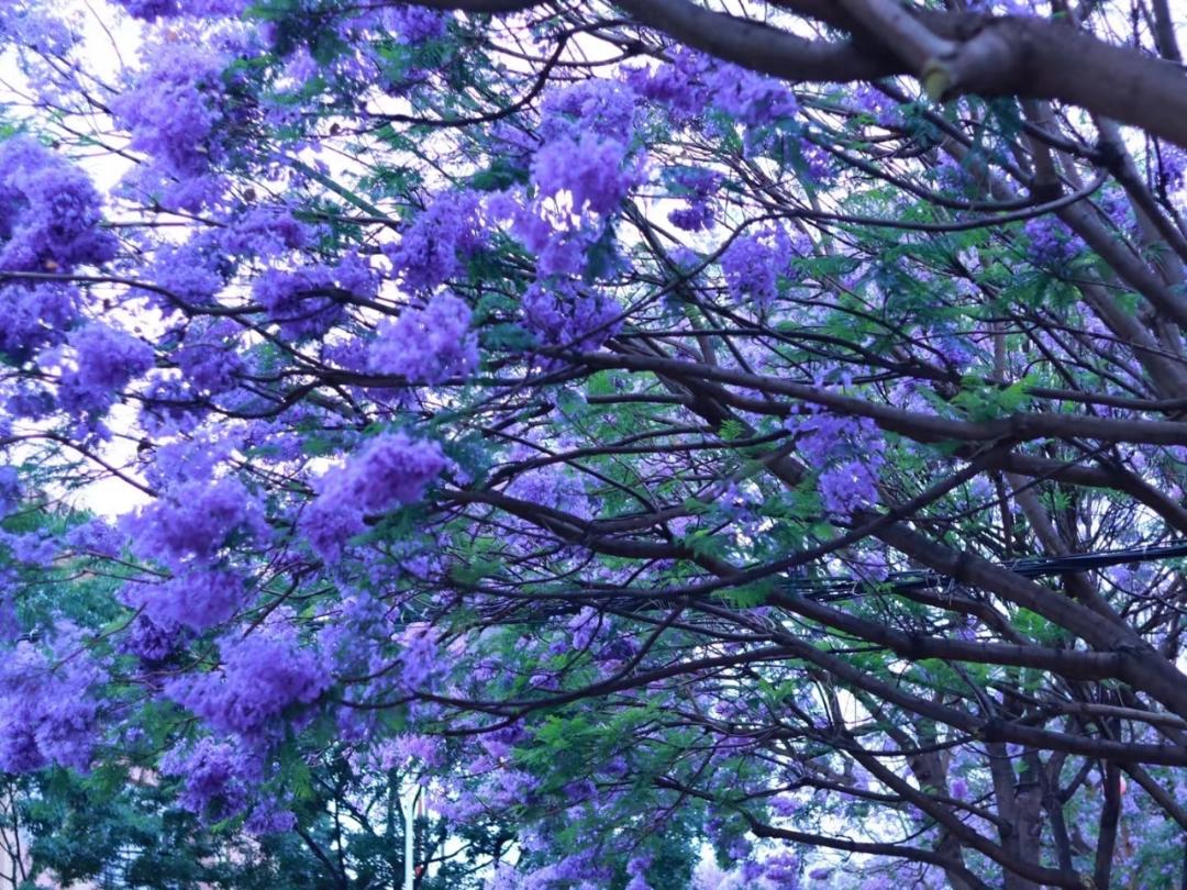 喜欢炖汤的团团