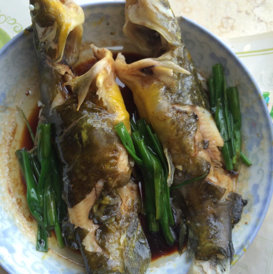 清蒸黄骨鱼