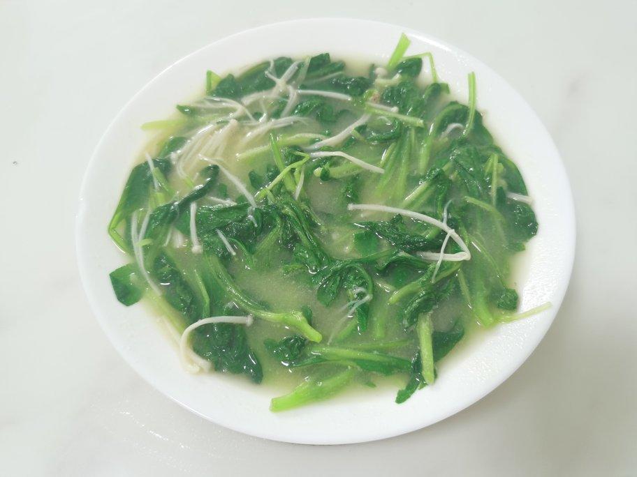上汤豆苗
