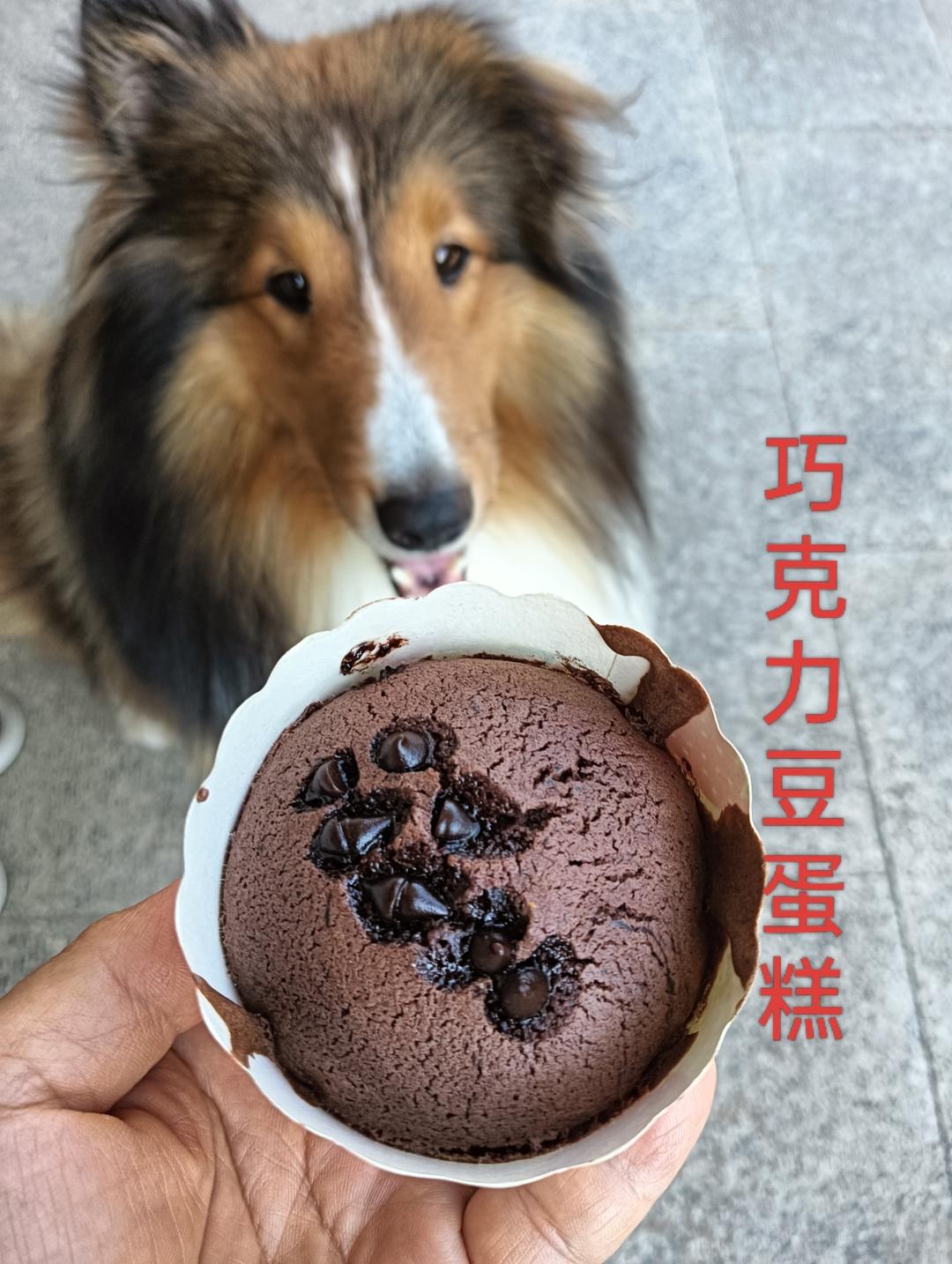 太完美了！超级浓郁松软绵密的巧克力豆小蛋糕，底不凹，顶不塌，操作简单，容易上手，快来试试吧！