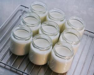 🥛0失败-浓郁顺滑-可拉丝酸奶（牛奶版，奶酪版，奶粉版）的做法 步骤11
