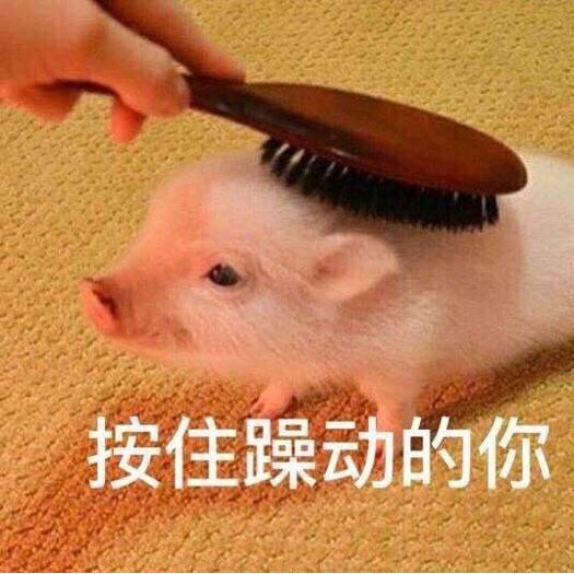 迷你小和尚