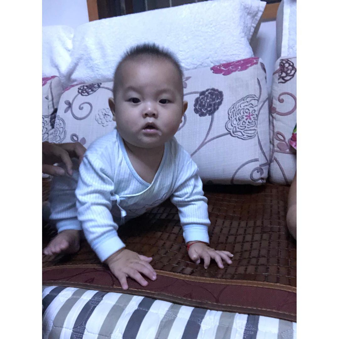 聪明的竹子2