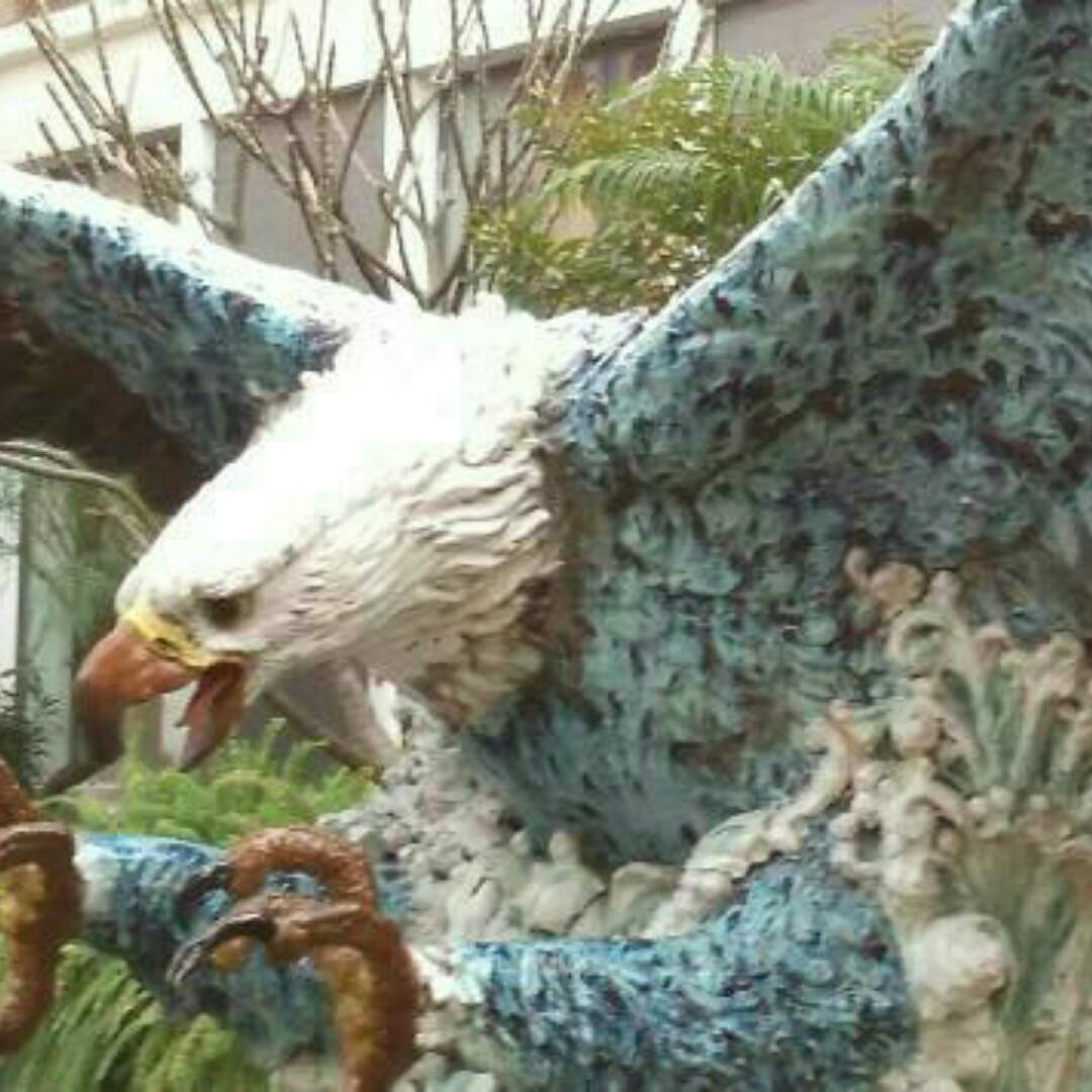 纽虎