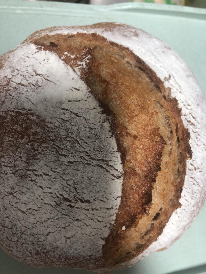 欧包的秘密（免揉/大孔洞/核桃/超简单）