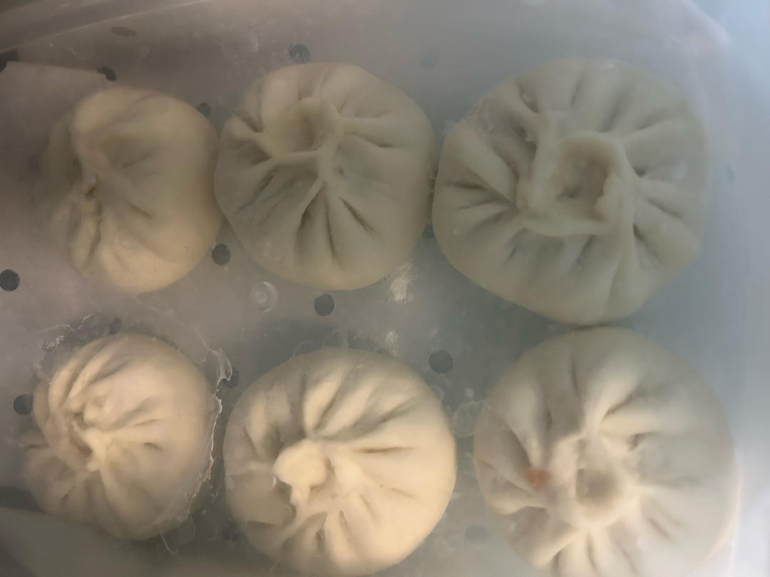 鲜肉包子馅（多姜多葱多香油）