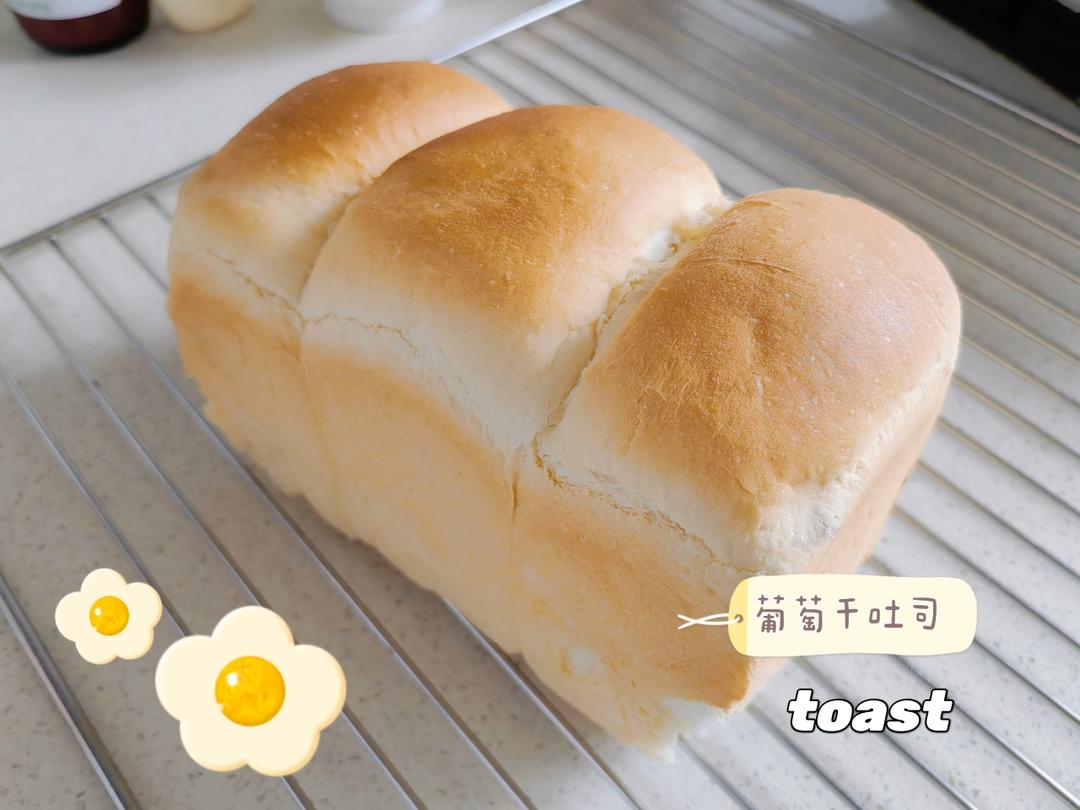 葡萄干吐司（超级拉丝一次性发酵）