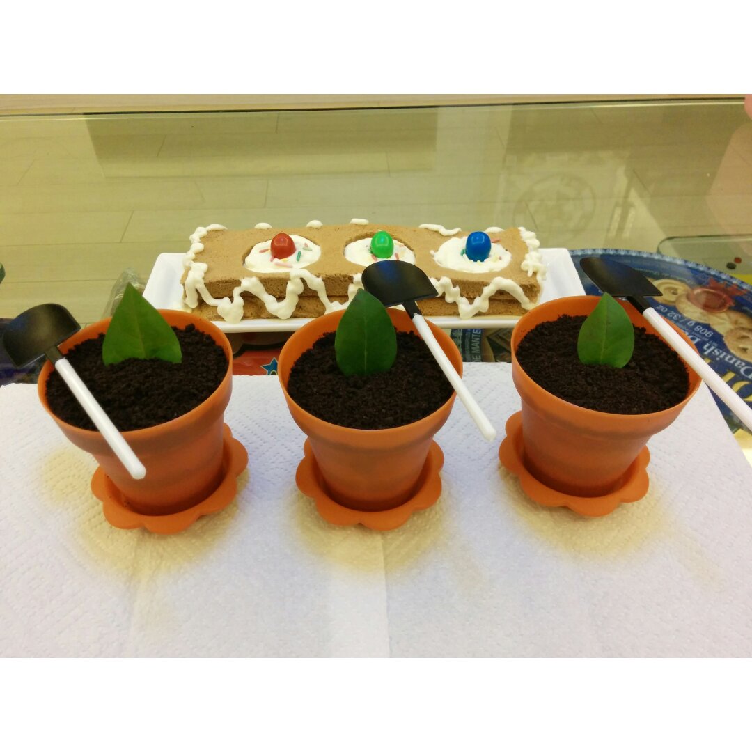 仿真花盆巧克力慕斯蛋糕