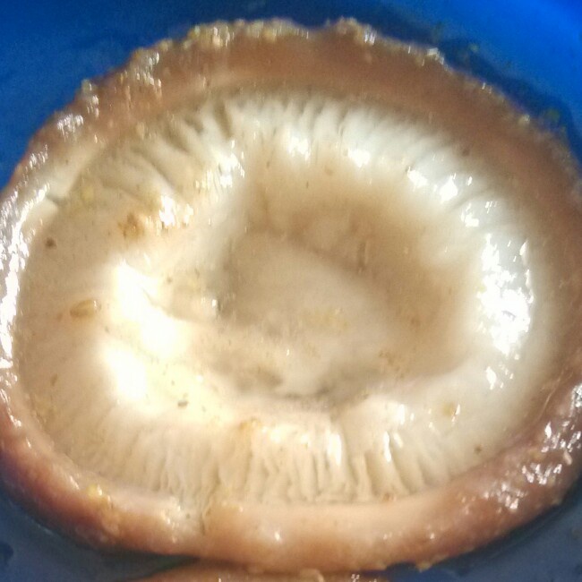 原汁原味的蘑菇