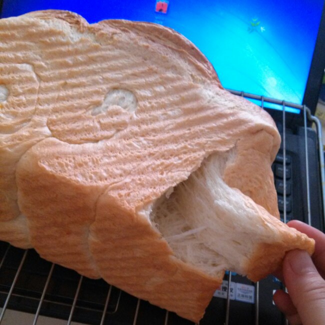 北海道牛奶吐司（100%冷藏中种法）