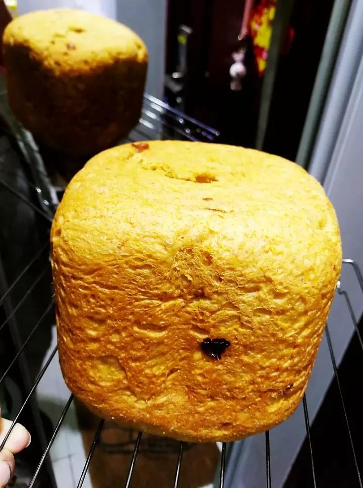 吐司100%成功