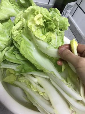 辣白菜（韩式泡菜）的做法 步骤3