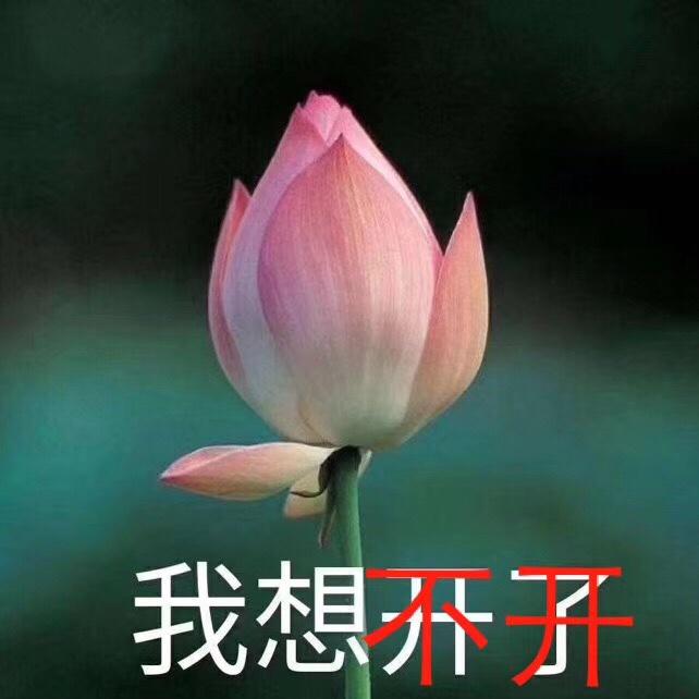 不觉流的厨房