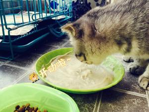 猫猫的营养餐01---巴沙鱼+蔬果篇的做法 步骤10