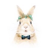 阿丹與一顆小滷蛋