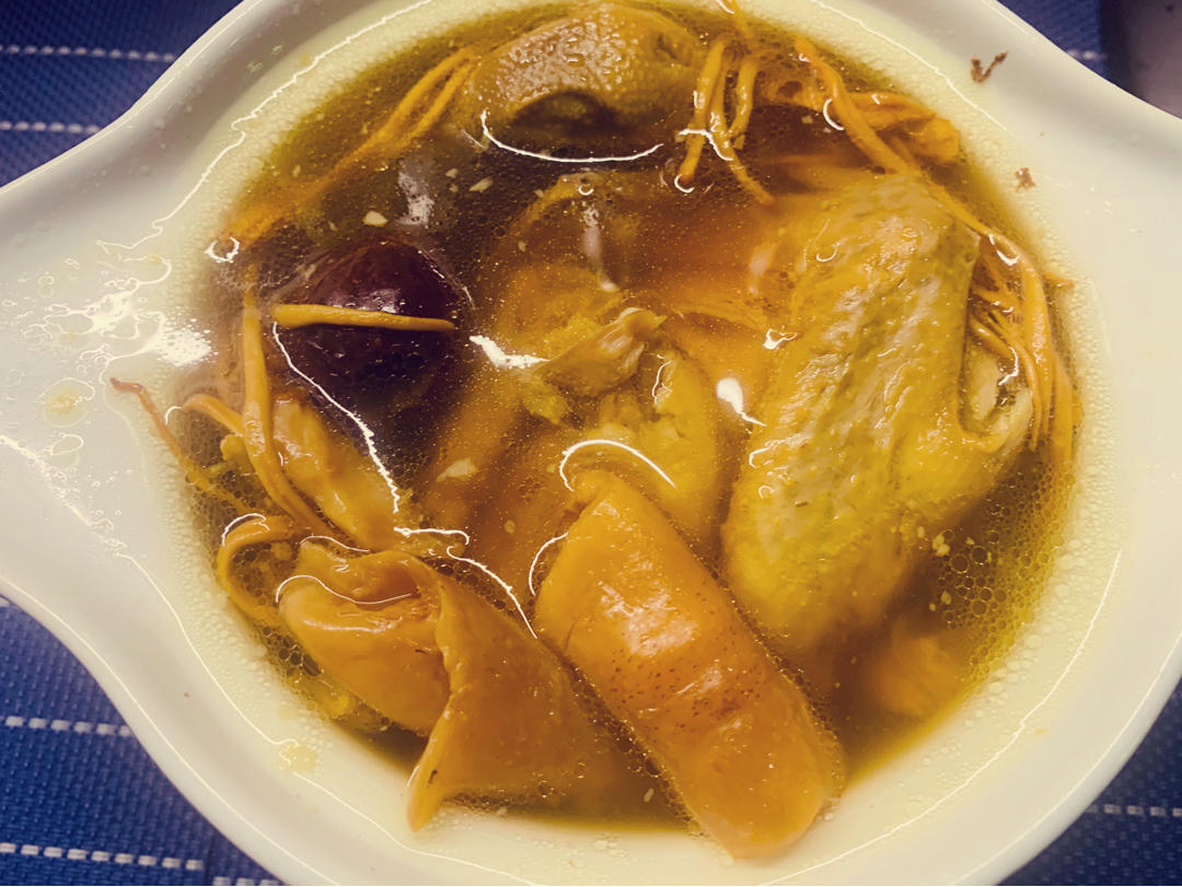花胶乳鸽汤
