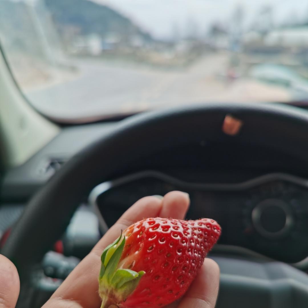 唯好玩耳