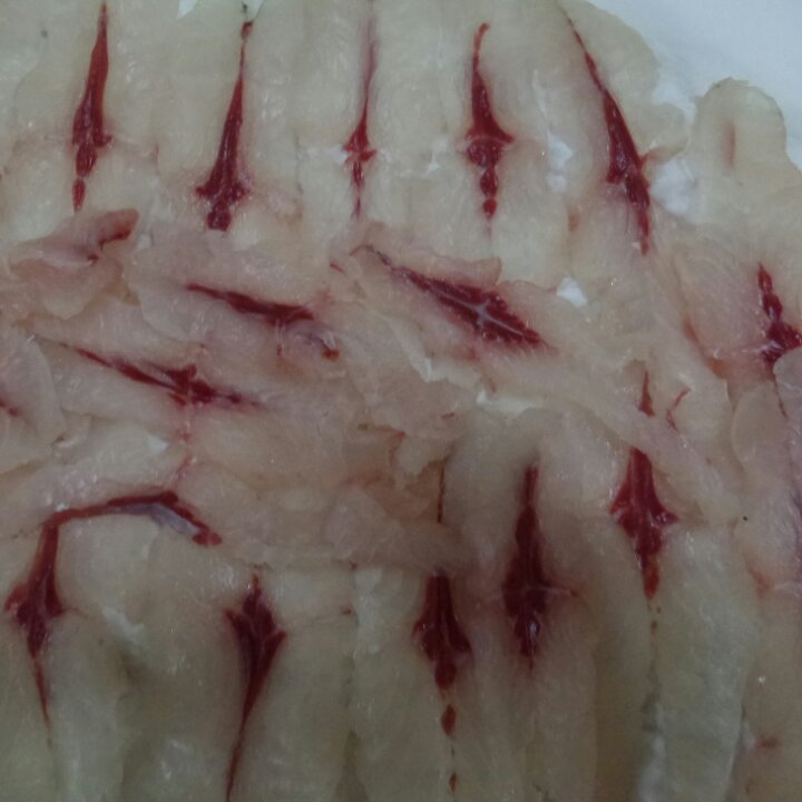 我和我的大脸盘子做的鱼生