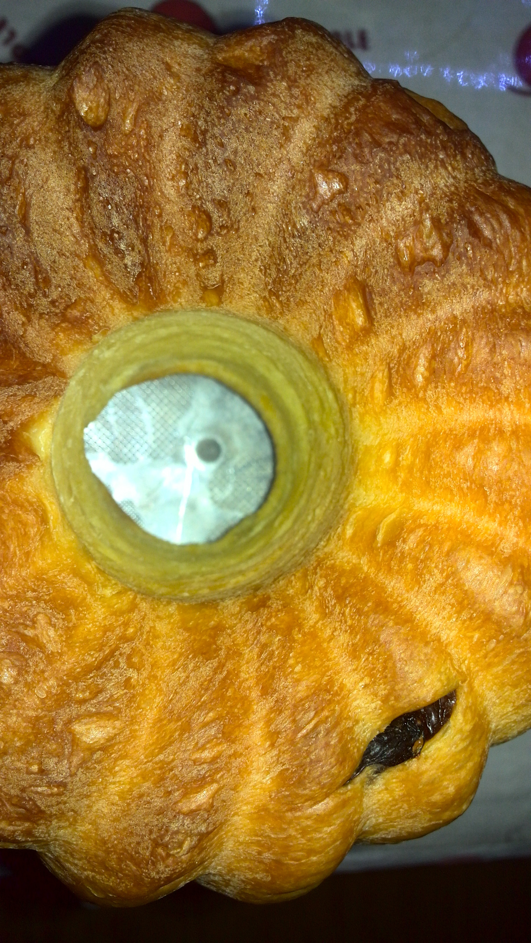 提子土司（柏翠面包机PE6280）自用方子