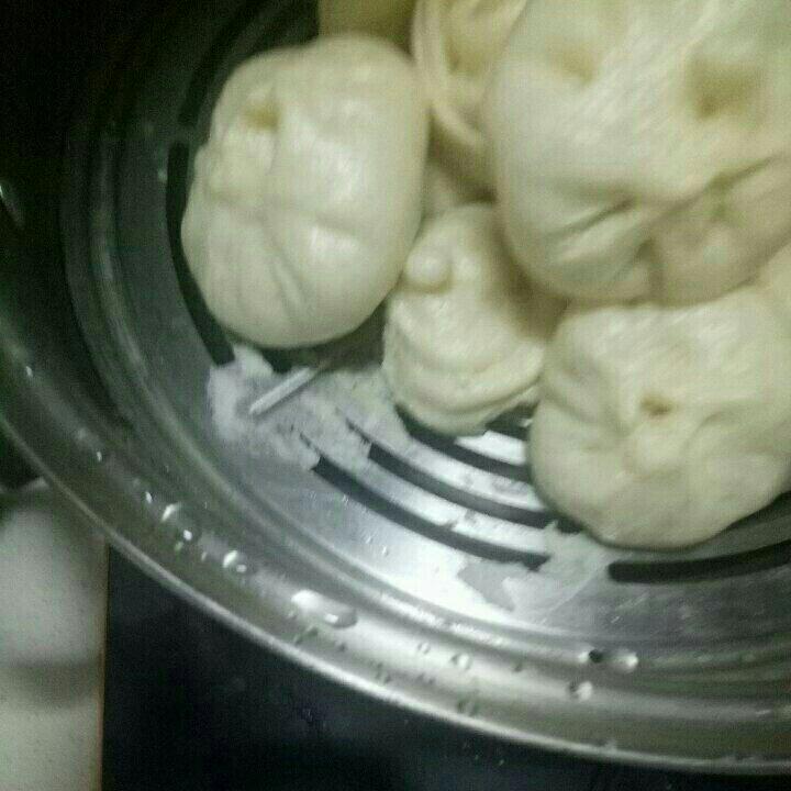猪肉包子（附视频。一次性发酵。）