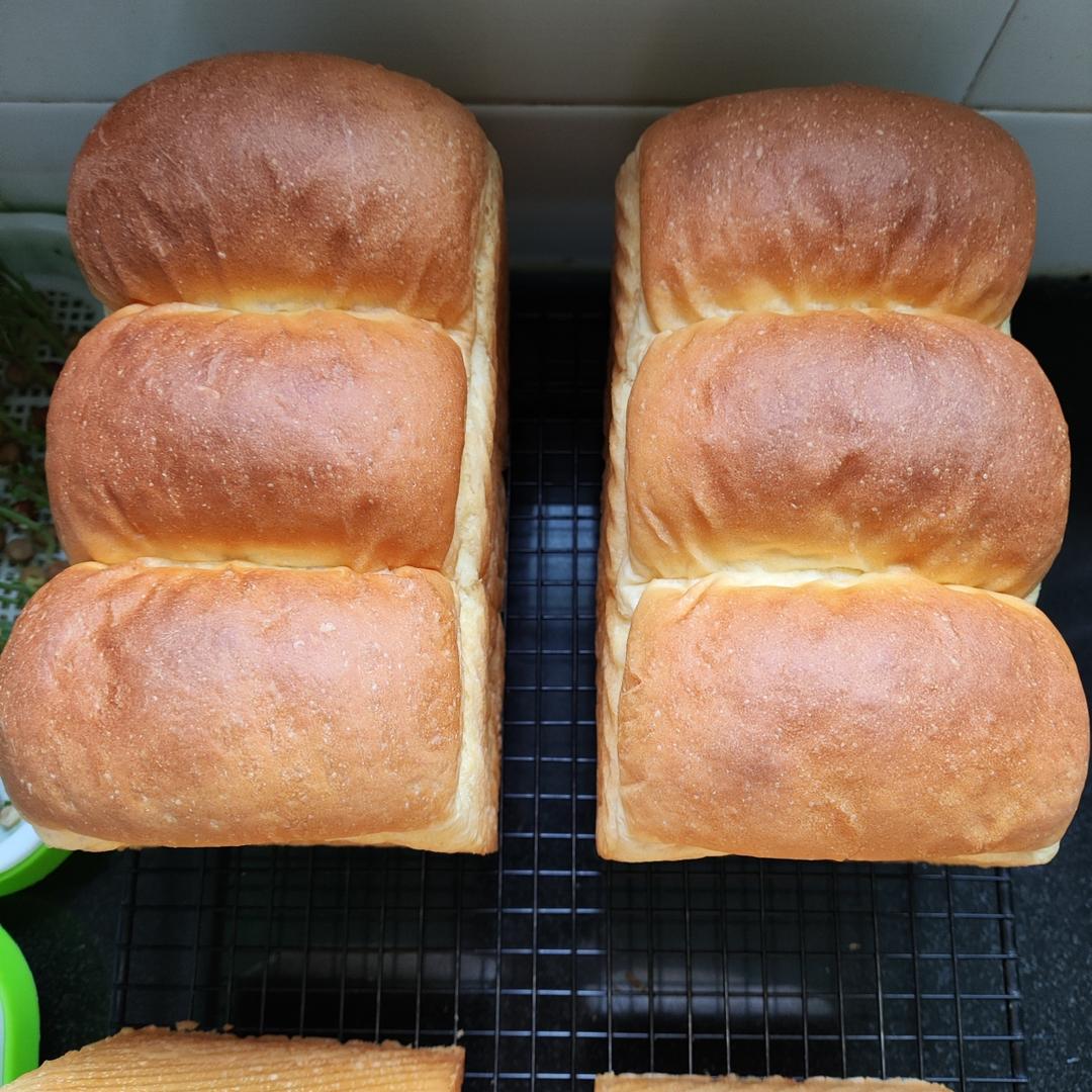 波兰种牛奶吐司