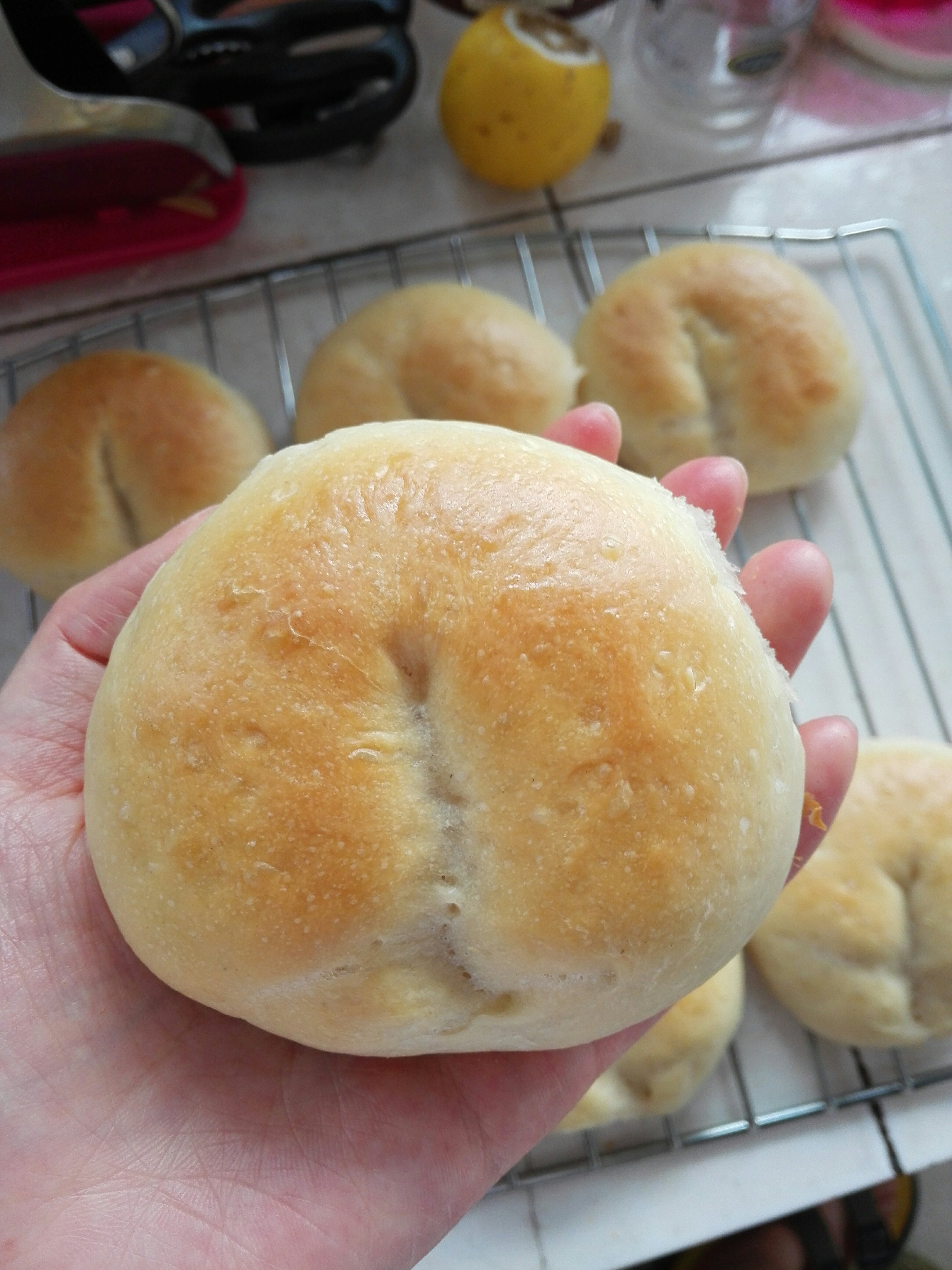 汤种加中种面包的做法 步骤3