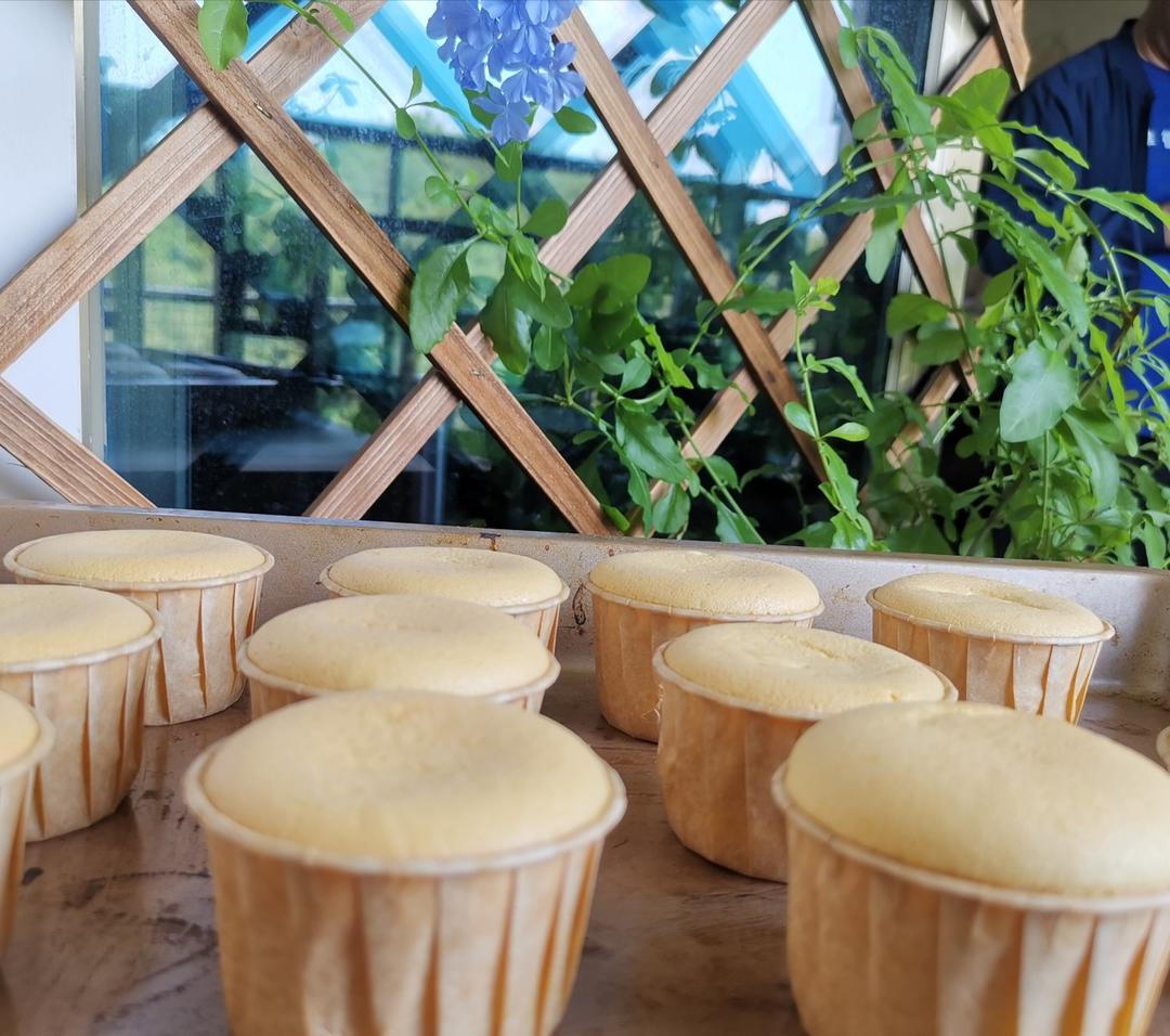 戚风杯子蛋糕的两份笔记