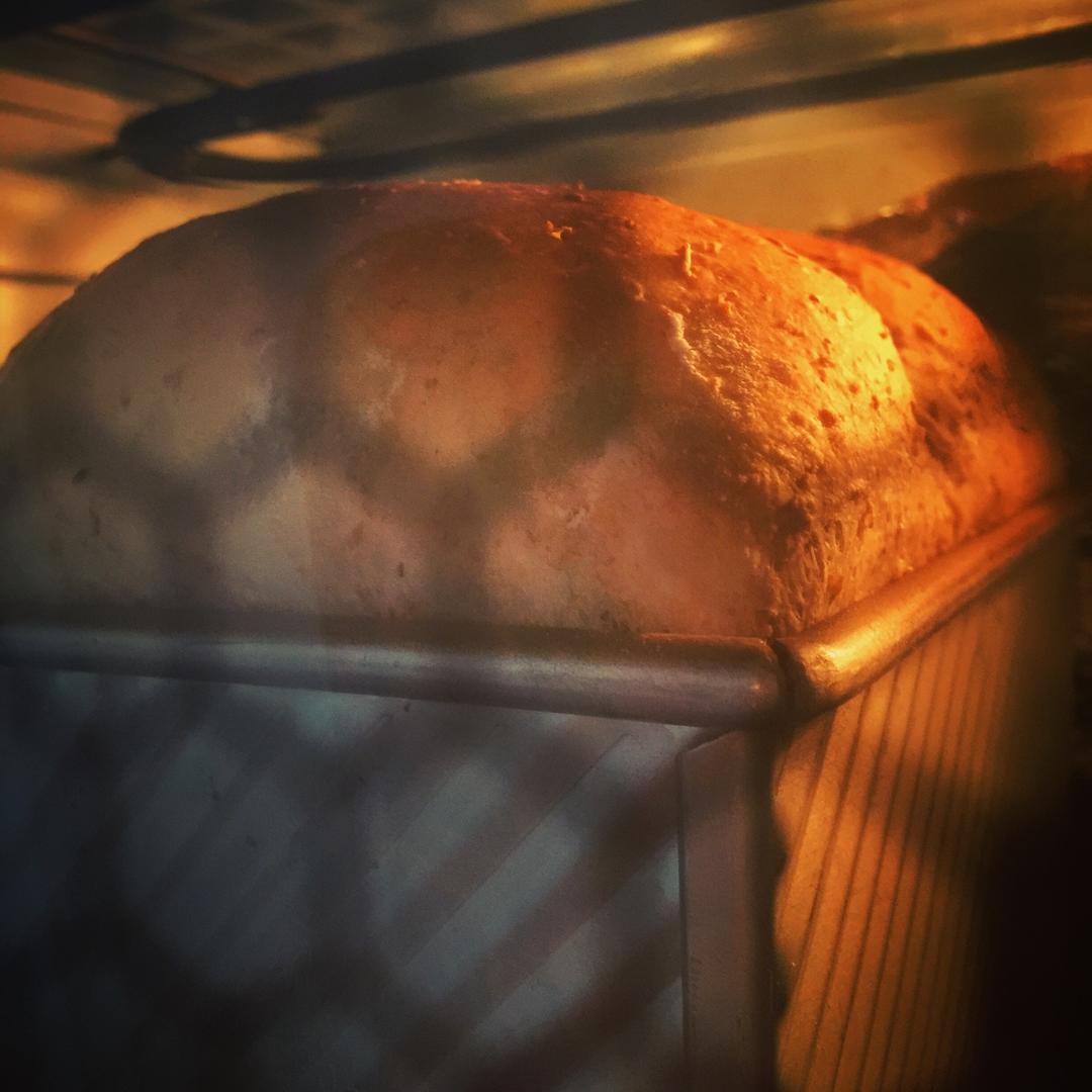 黑糖(红糖)麦麸吐司~烫种