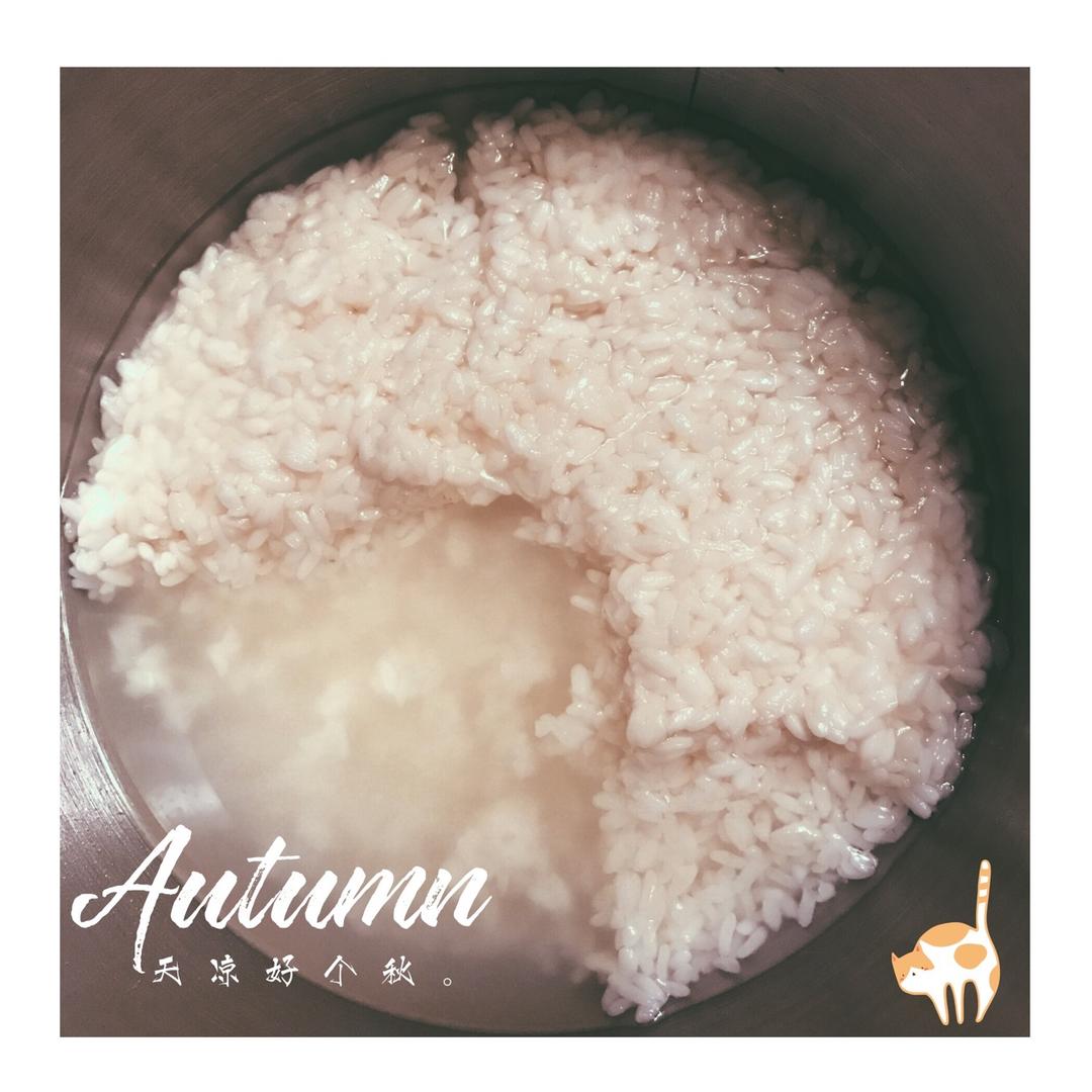 酒酿 (酒酿系列一）