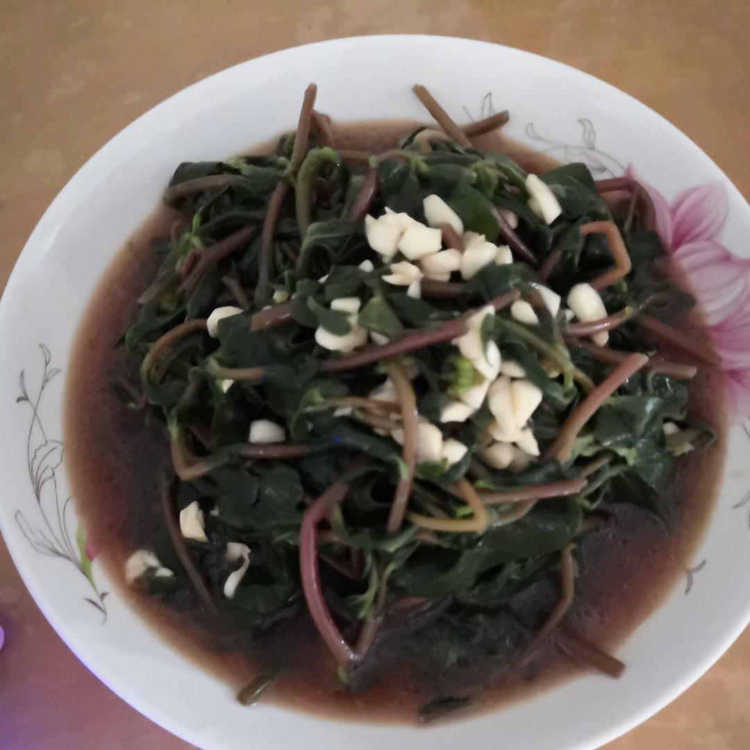 凉拌马马菜（凉拌马齿苋）