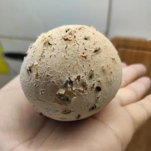 恐龙🦕蛋丨酥脆糯叽叽丨空心麻薯包丨零失败的小技巧。