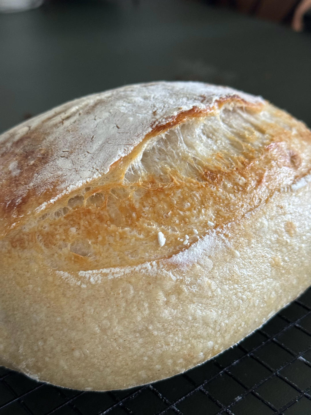 天然酵种鲁邦种硬欧包Sourdough Bread