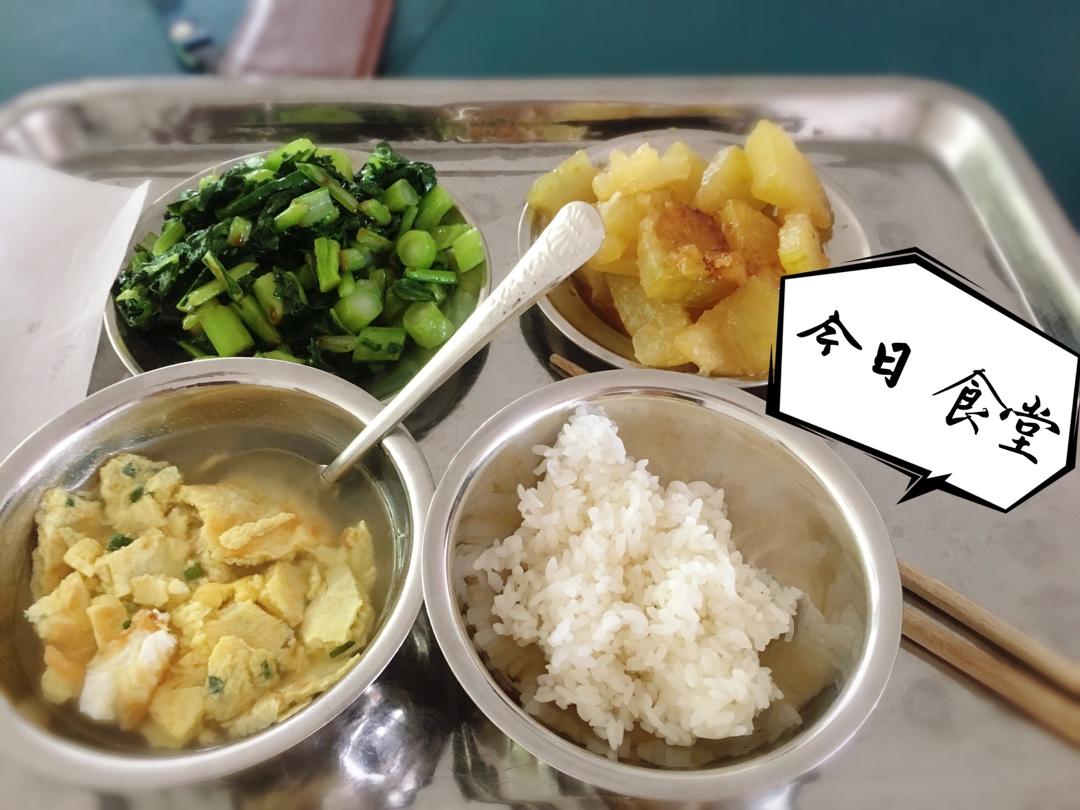 减脂餐每日打卡