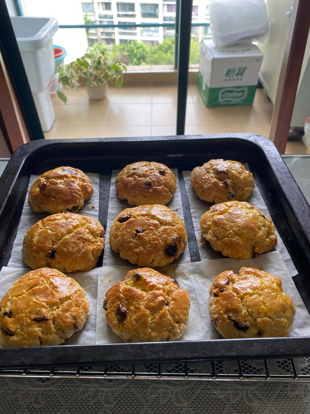 完胜星巴克的超美味酥脆司康 super easy crunched scone