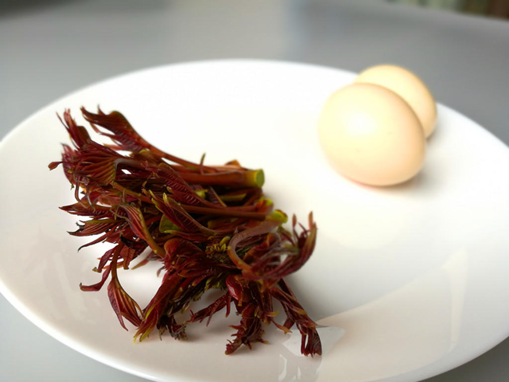 香椿芽炒鸡蛋（附香椿食用小窍门）