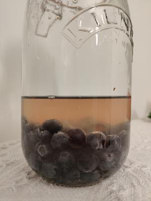 天然酵种·蓝莓酵液/酵种的做法 步骤1