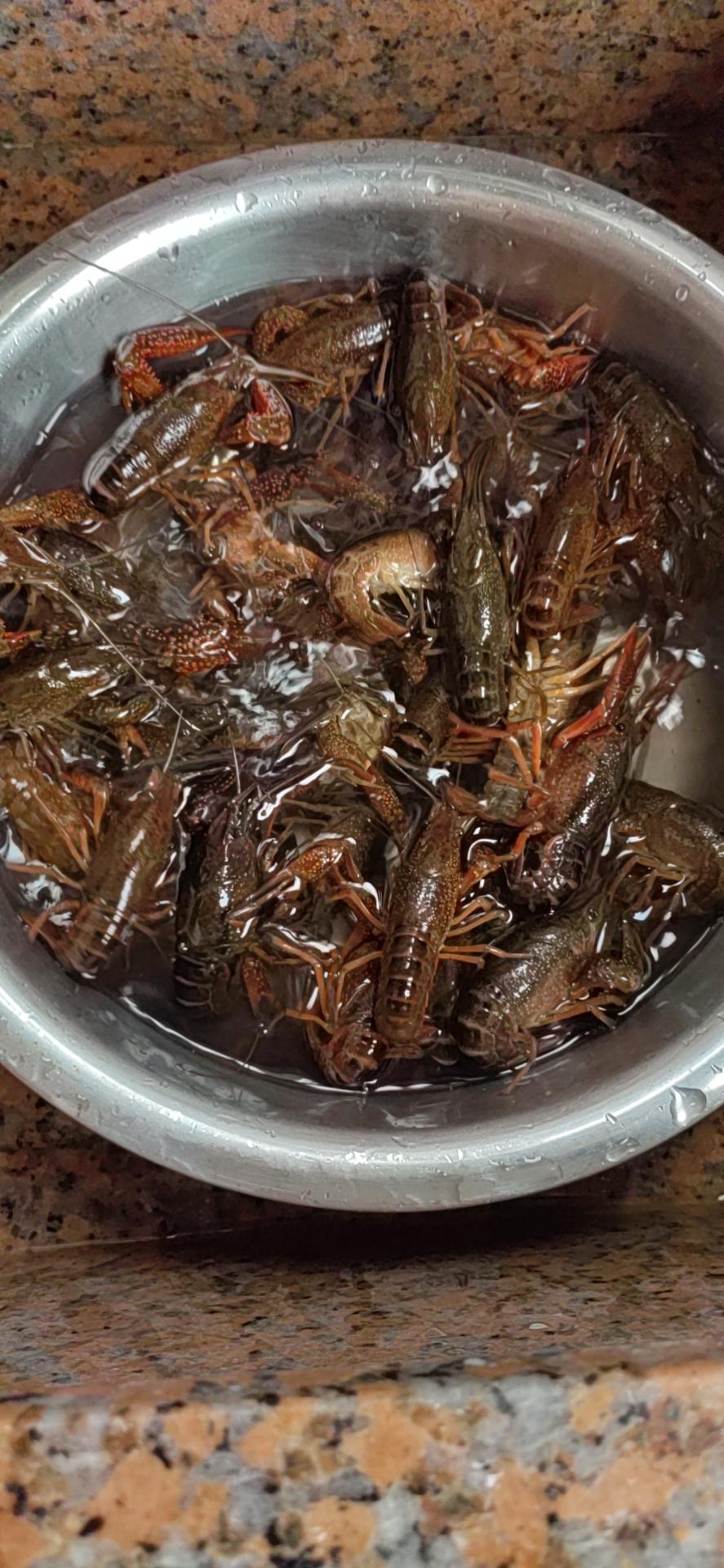 橙香鸡蛋杯【5-6月北鼎养生壶食谱】