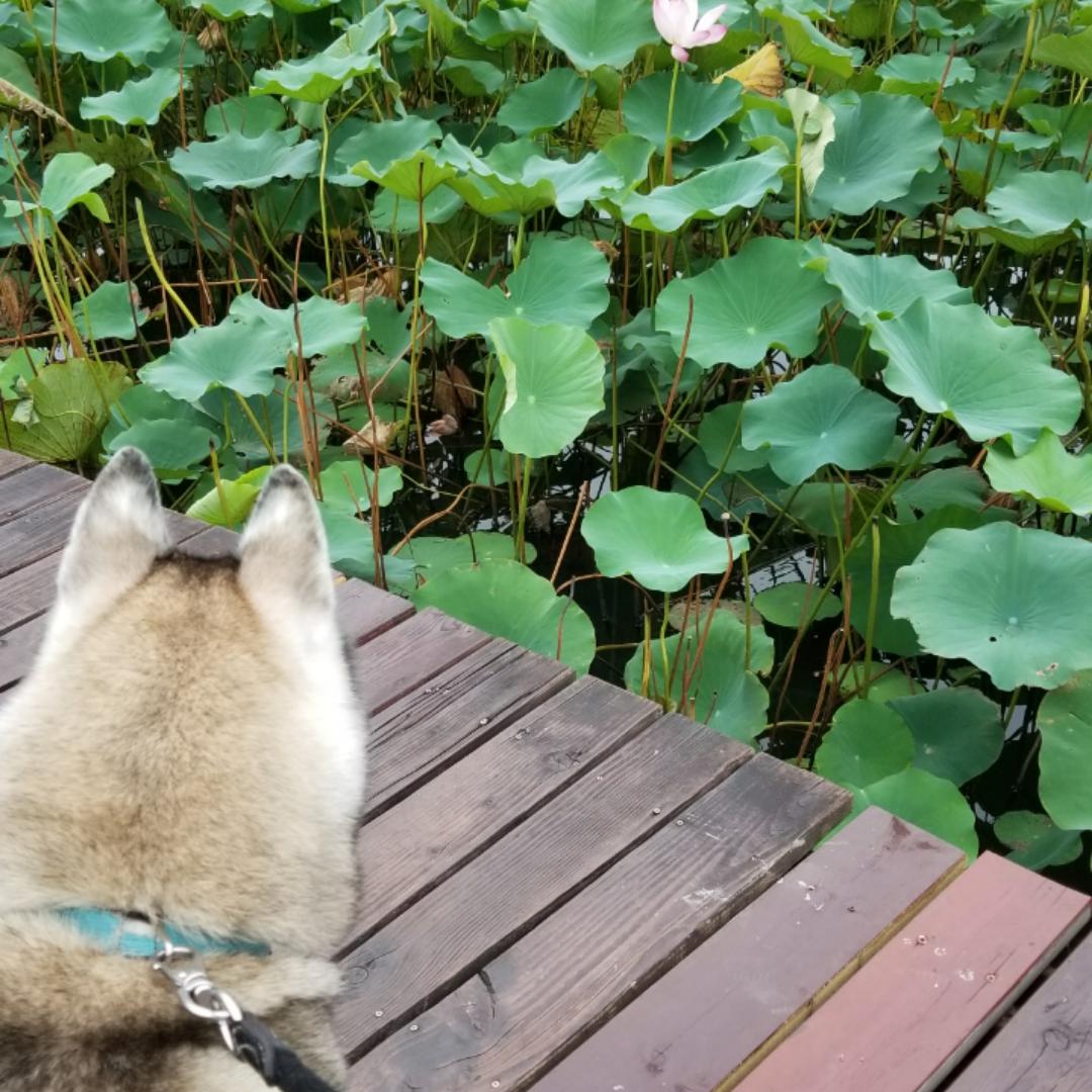焦糖海盐摩卡