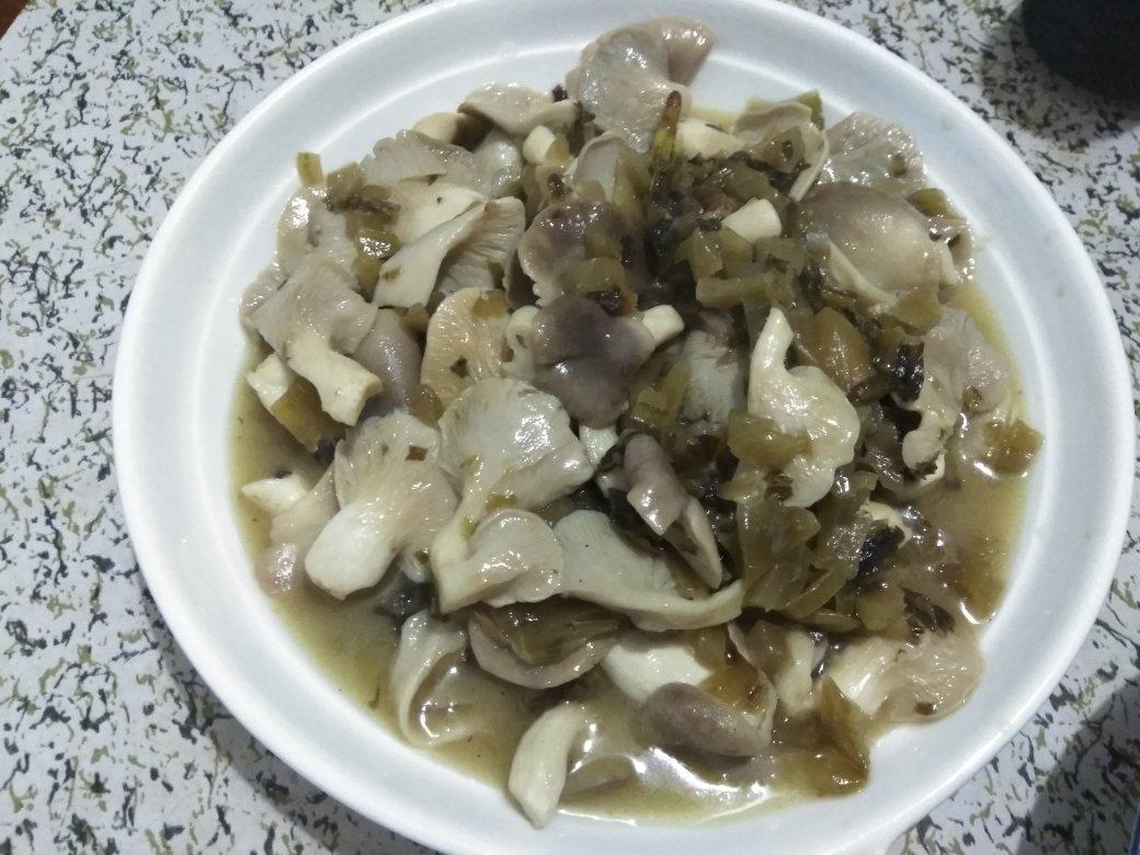 蒜茸凤尾菇