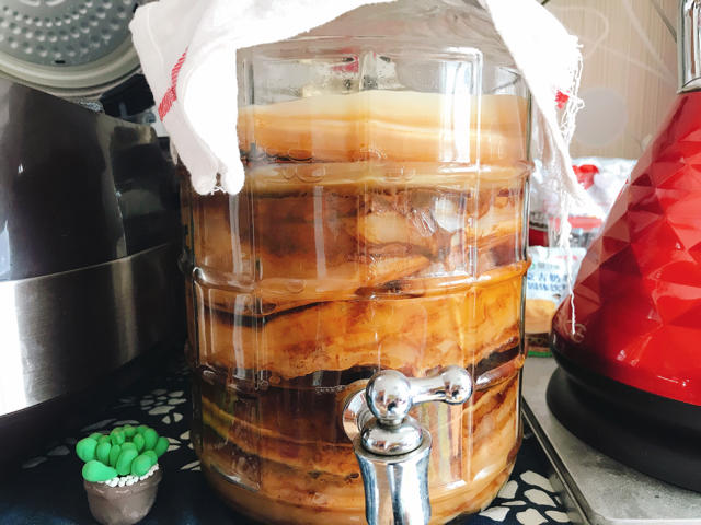 风靡全球的减脂养胃红茶菌康普茶Kombucha