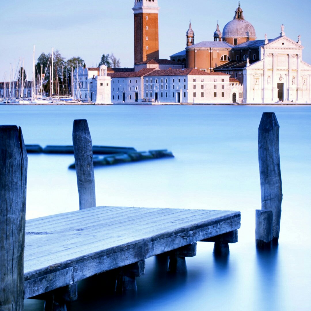 小可可今天吃什么