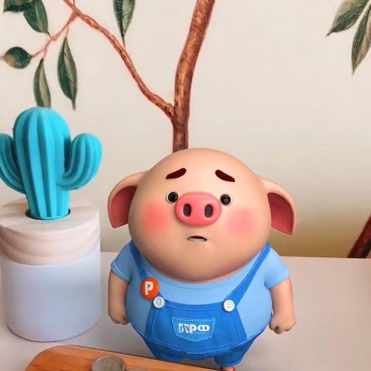会做饭的小仙女H