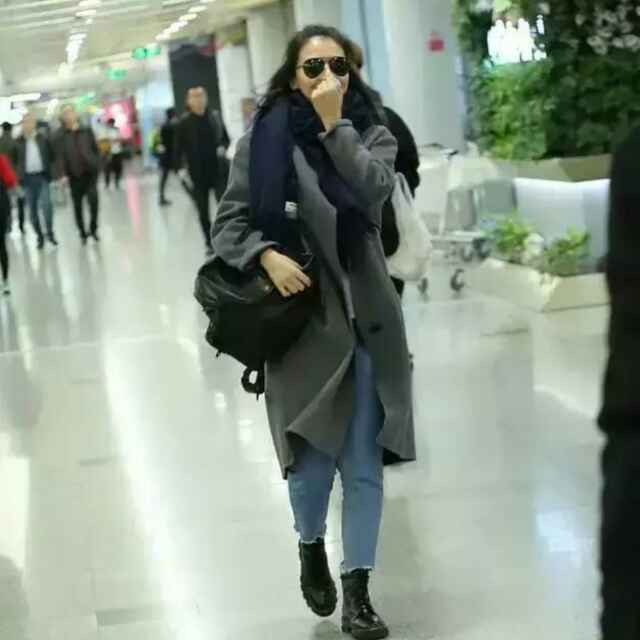 爱雪莲