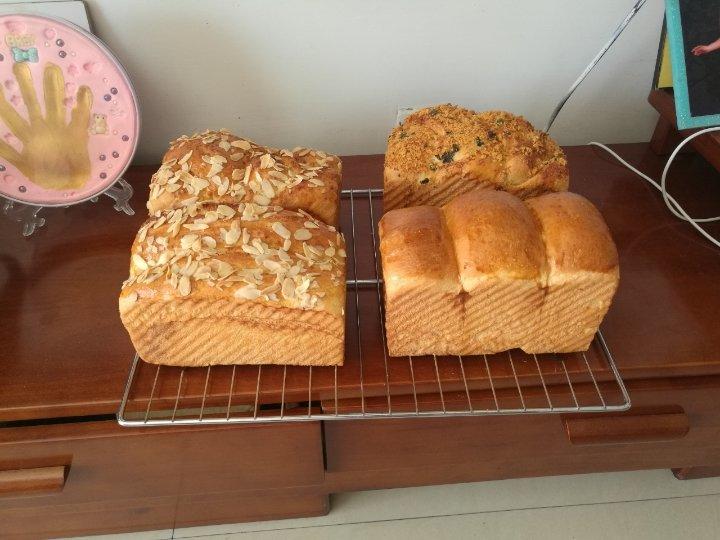 手套膜 厨师机手套膜 附专业软文知识 －完美手套膜附视频