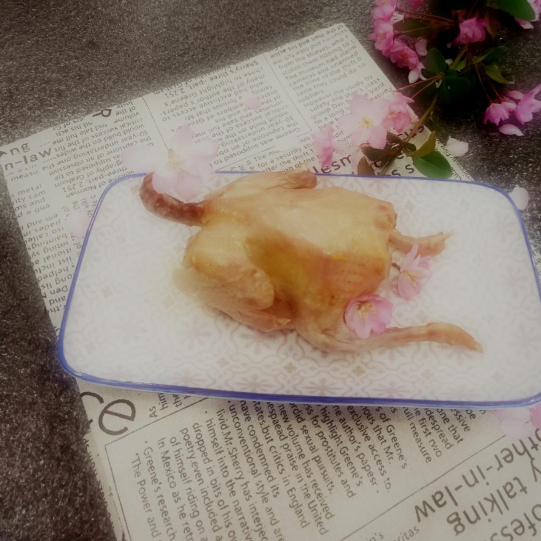 清蒸鸽子
